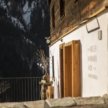 David Am Buchhammerhof By Interhome Daire *